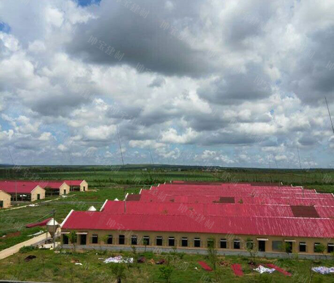 瓦中新貴“秸稈瓦”耐用50年，抵抗強(qiáng)臺風(fēng)