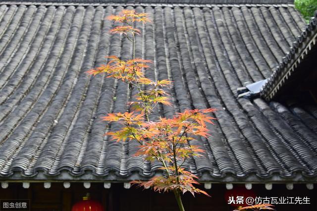 導(dǎo)讀：農(nóng)村蓋房用樹脂瓦適合嗎？聽完行家的分析，恍然大悟