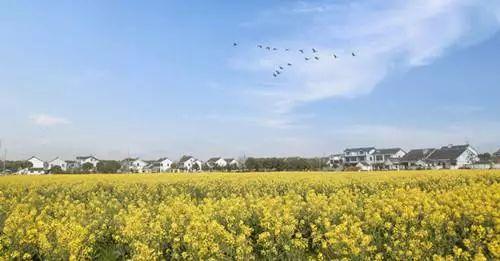 中國***美的鄉(xiāng)村景色，看看有你的家鄉(xiāng)嗎