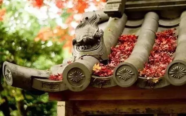 這樣的院子，只有中國人駕馭得了它！