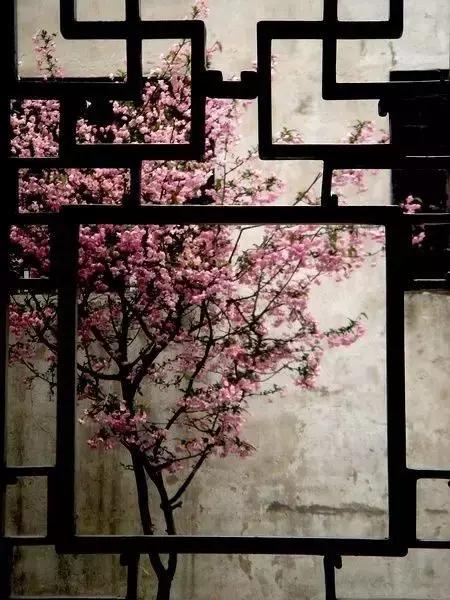 這樣的院子，只有中國人駕馭得了它！