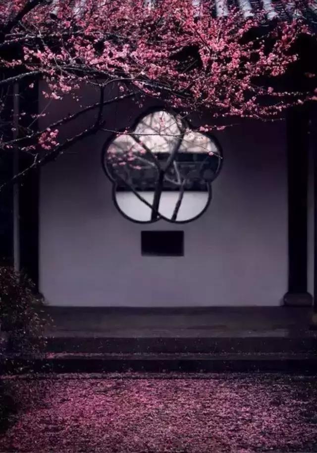 這樣的院子，只有中國人駕馭得了它！