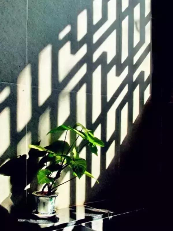 這樣的院子，只有中國人駕馭得了它！