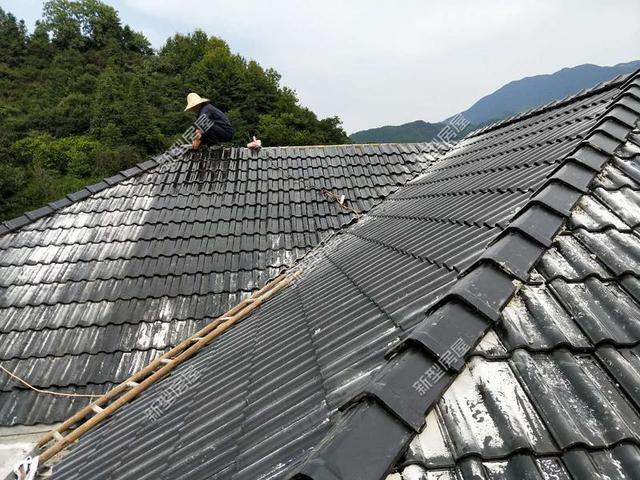 30元一平的樹脂瓦省錢又耐用？網(wǎng)友：吃飽沒事干，用一年就得換