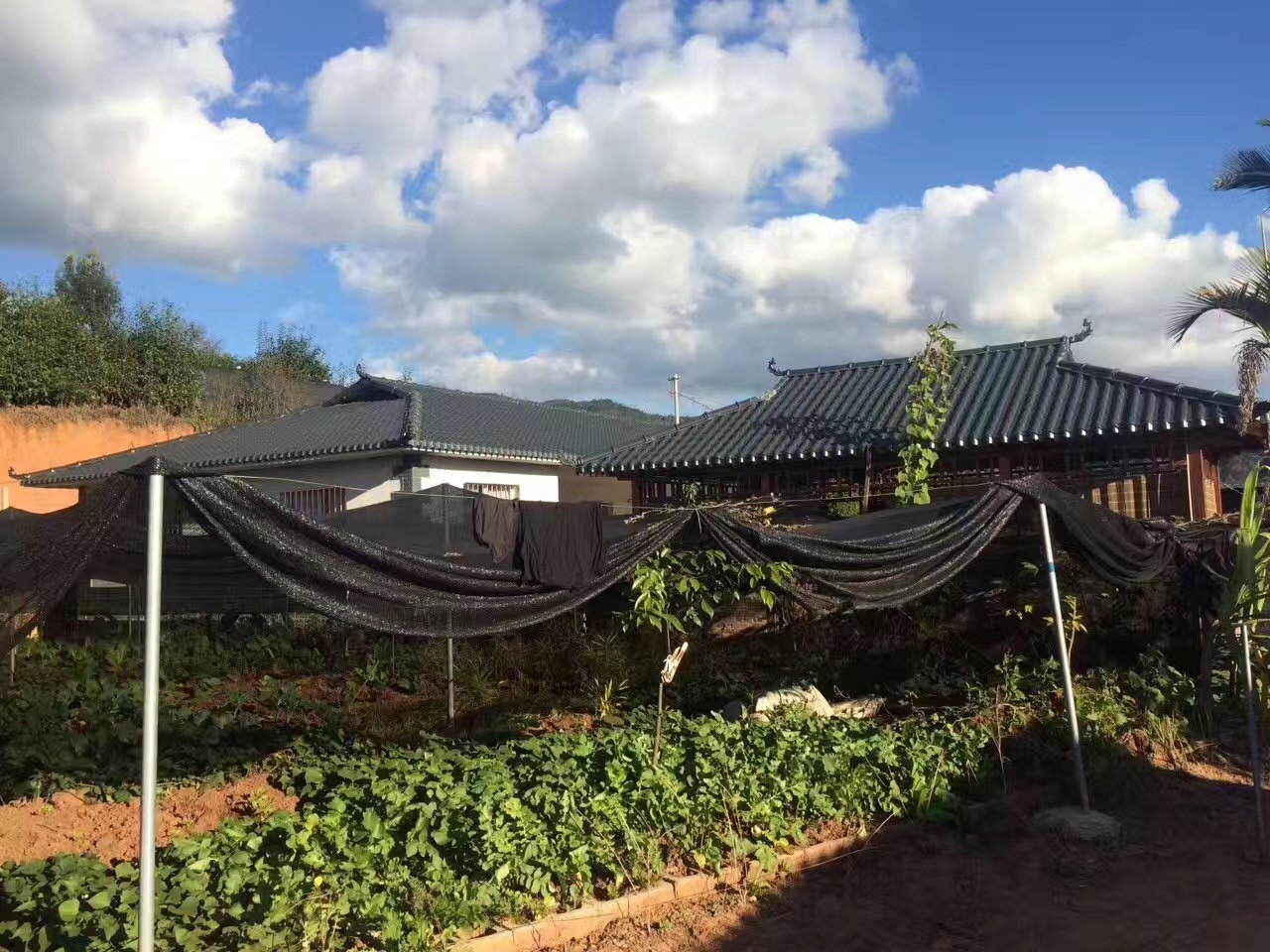 灰底樹脂瓦和白底樹脂瓦的區(qū)別有什么？價格差異為什么那么大？